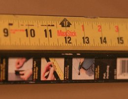 IMG_4481 cropped.jpg