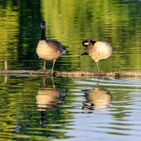 Crystral Springs-2290.jpg