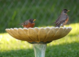 K41A7080 picsaa fix ps fix-topaz2-denoise - Copy.JPG