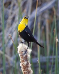 R5M22204-DxO_DeepPRIME XD2s.jpg