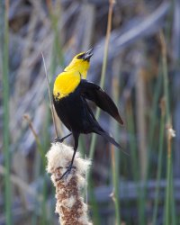 R5M22205-DxO_DeepPRIME XD2s.jpg