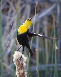 R5M22206-DxO_DeepPRIME XD2s.jpg