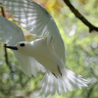 DSC_4120_DxO.jpg