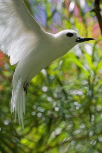 DSC_4123_DxO.jpg