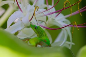 DSC_3937_DxO.jpg
