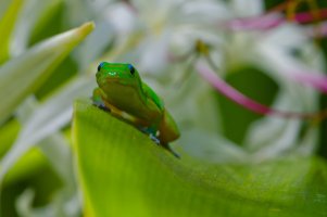 DSC_4213_DxO.jpg