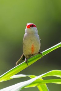 DSC_4278_DxO.jpg