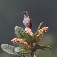 E57A6128-Edit.jpg