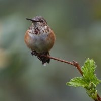 E57A6129-Edit.jpg
