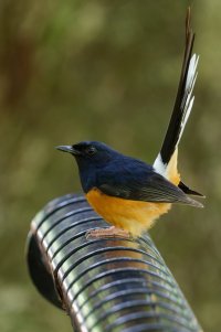DSC_4549_DxO-1.jpg