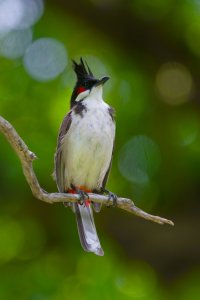 DSC_4627_DxO.jpg