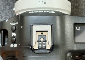 IMG_1511.jpeg