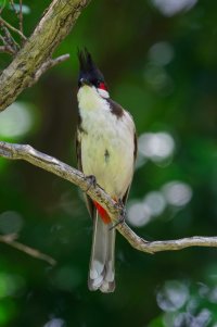 DSC_4656_DxO.jpg