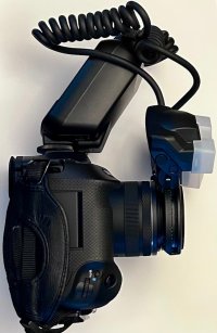 RF24 with twin lite.jpeg