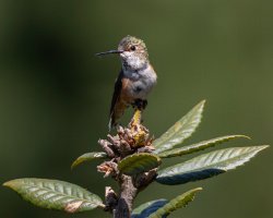 E57A6308-Edit.jpg