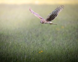 _V0A3956-Edit.jpg