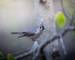 _V0A7317-Edit.jpg