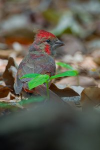 DSC_4915_DxO.jpg