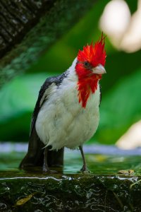 DSC_5046_DxO.jpg