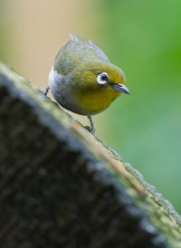 DSC_5063_DxO.jpg
