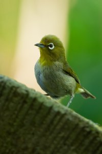DSC_5084_DxO.jpg
