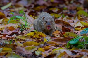 DSC_5017_DxO.jpg