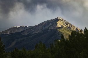 90k_E9A4093_DxO_R52.jpg