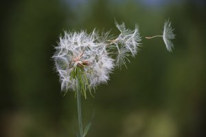 90k_E9A7953_DxO_R52.jpg