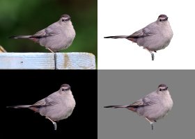 Andrew_Collage.jpg Andrew_Collage.jpg