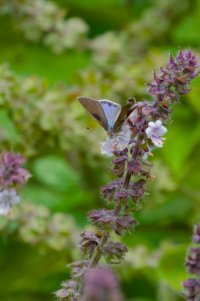 DSC_5334_DxO.jpg