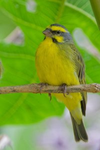 DSC_5118_DxO.jpg