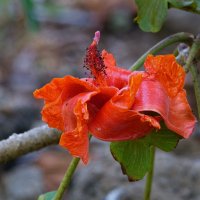 DSC_5546_DxO.jpg