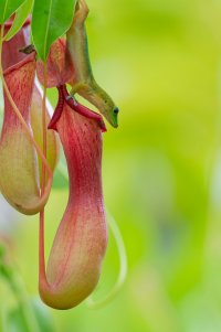 DSC_5734_DxO-1.jpg