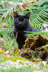 DSC_5688_DxO.jpg