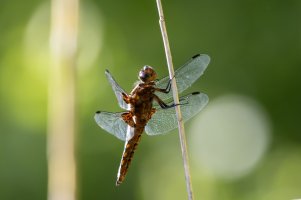 922A6908 (2).jpg