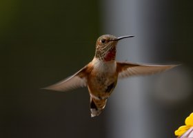 E57A6697-Edit.jpg