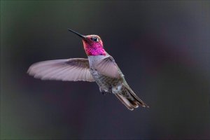 E57A6772-Edit.jpg