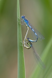 922A1571.jpg