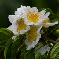 DSC_5745_DxO-1.jpg
