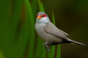 DSC_5788_DxO.jpg