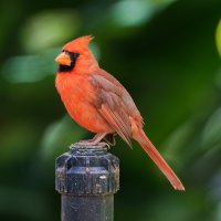 DSC_5806_DxO.jpg