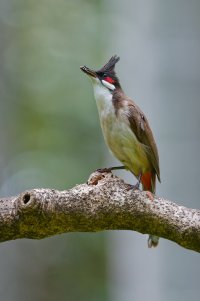 DSC_5848_DxO.jpg