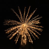 IMG_8416.jpg