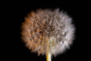 IMG_8279.jpg