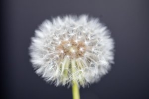 IMG_8183.jpg