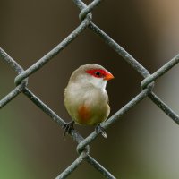 DSC_6117_DxO.jpg