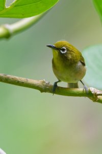 DSC_6204_DxO.jpg