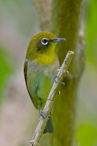 DSC_6239_DxO.jpg
