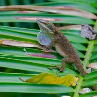 DSC_6056_DxO.jpg