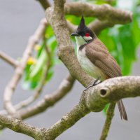 DSC_6378_DxO.jpg